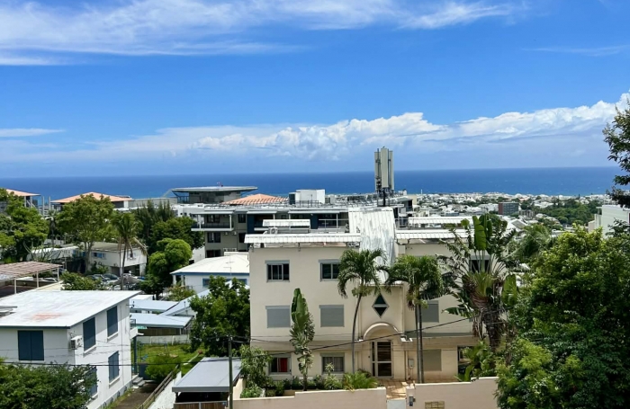 Vente Appartement 97400