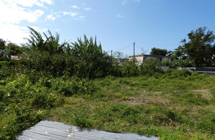 Vente Terrain 97470