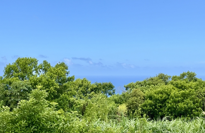 PETITE ILE 97429 - VILLA F4 EN PARFAIT ETAT - BEAUX VOLUMES - QUARTIER PRISE - FACILE D'ACCES