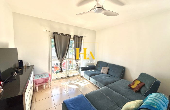 Vente Immeuble 247m&sup2; 8 pi&egrave;ces Rivi&egrave;re Saint Louis