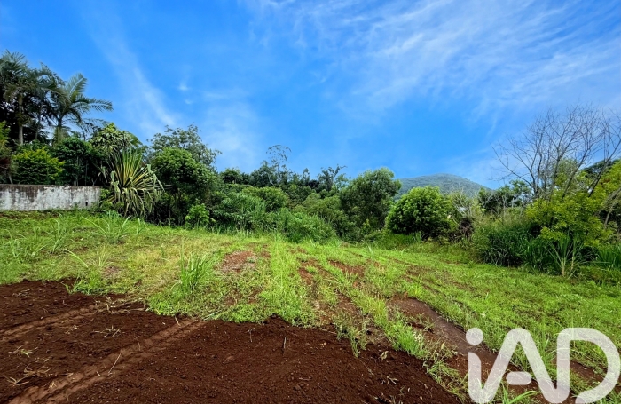 Vente Terrain 97410