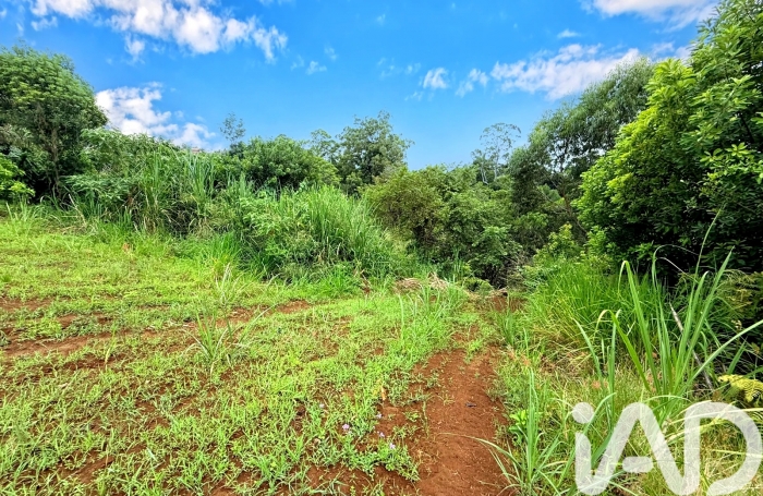 Vente Terrain 632m&sup2; Saint-Pierre