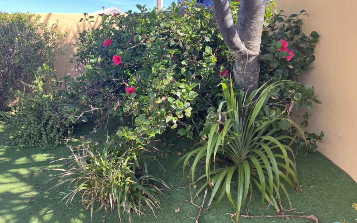 Villa meubl&eacute;e de standing &agrave; Saint-Pierre (Terre Sainte)