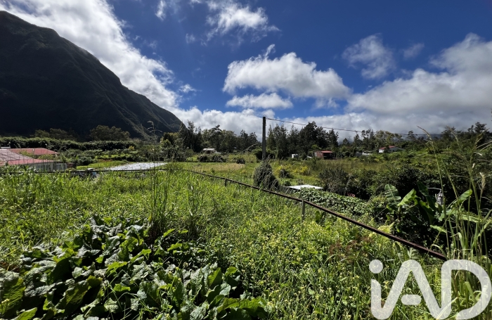 Vente Maison 80m&sup2; 4 pièces Plaine des Palmistes