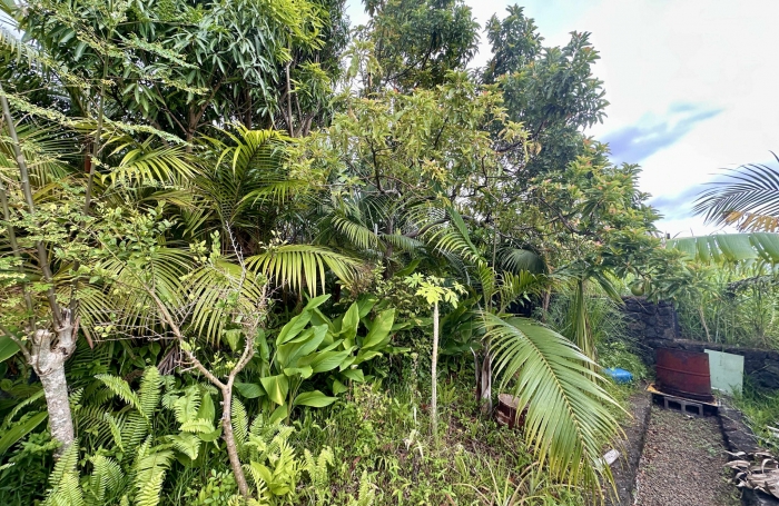 SAINT JOSEPH  97480 - TERRAIN AVEC VUE MER - AU CALME - FACILE D'ACCES