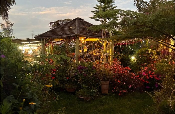 Vente Maison 91m&sup2; 3 pi&egrave;ces Plaine des Palmistes