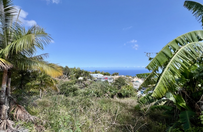 PETITE ILE 97429 - TERRAIN AVEC VUE MER - CONSTRUCTIBLE - BIEN SITUE