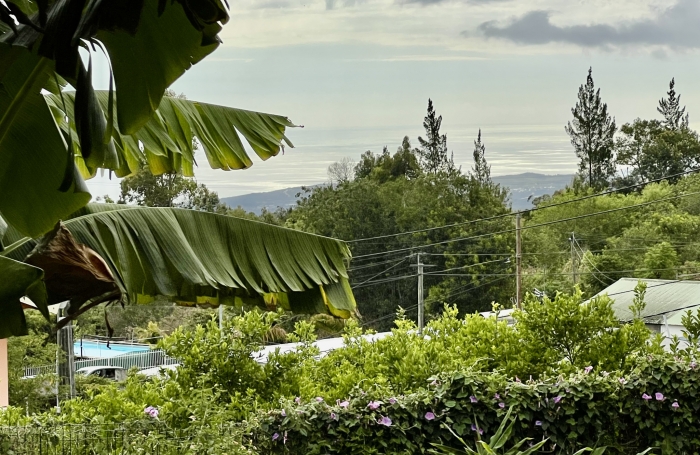 TAMPON 97430 - TERRAIN PLAT EN ZONE UB - QUARTIER CALME - PROCHE DES COMMODITES