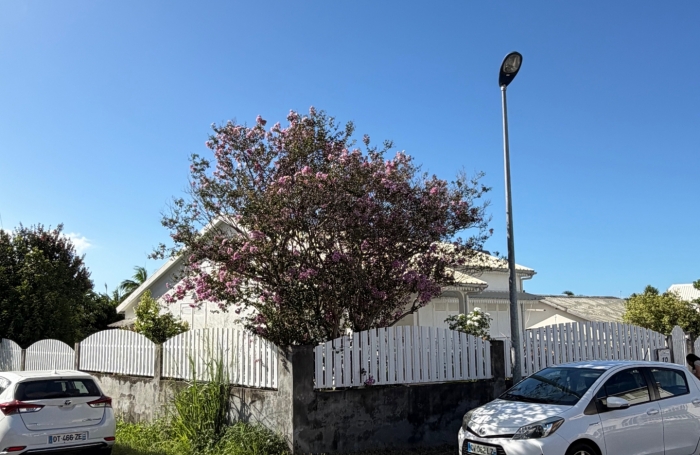 Vente Maison 97438