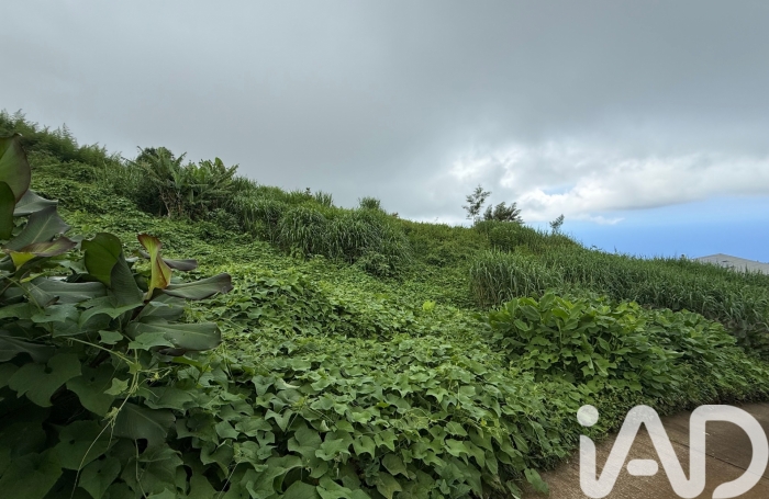 Vente Terrain 1188m&sup2; Piton Saint Leu