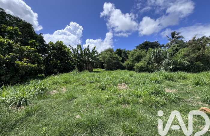 Vente Terrain 97438