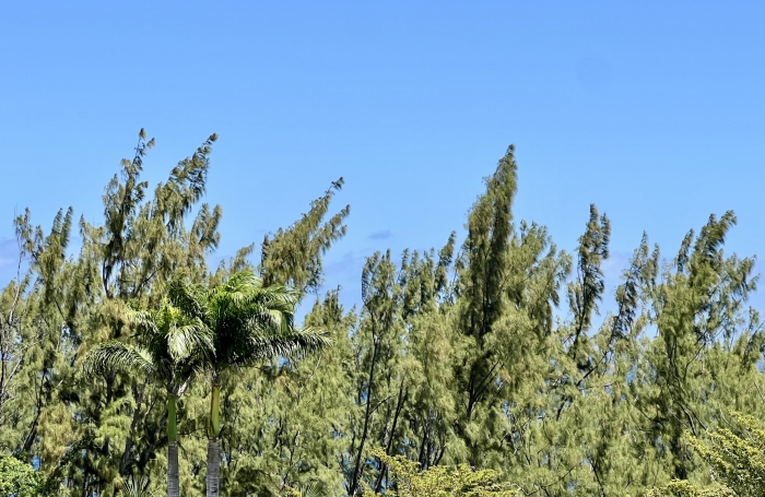 SAINT PHILIPPE 97442 - VILLA A ETAGE - BEAUX VOLUMES - PROCHE ECOLES ET COMMODITES