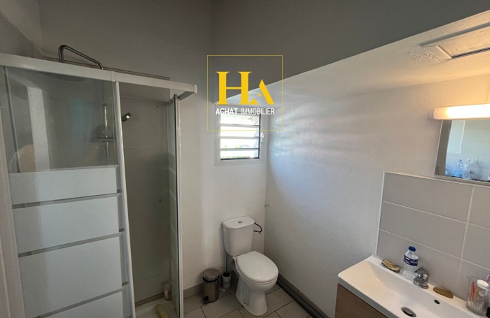 Vente Immeuble 233.2m&sup2; 12 pi&egrave;ces Rivi&egrave;re Saint Louis