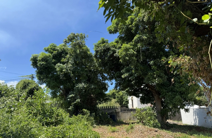 Vente Terrain 97410