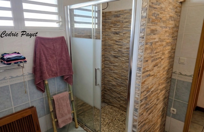 Vente Maison 225m&sup2; 7 pièces Etang-Sale