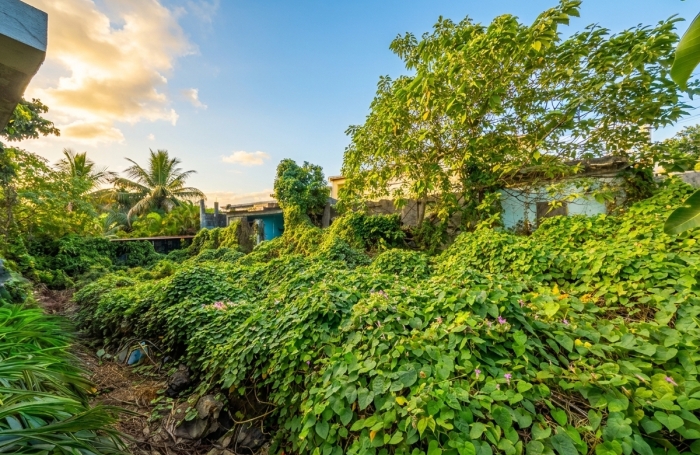 Vente Maison 84.72m&sup2; 4 pi&egrave;ces Saint-Pierre