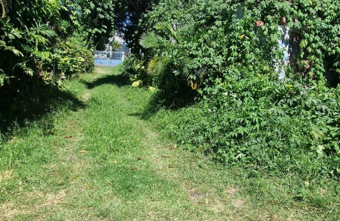 Vente Terrain 97437