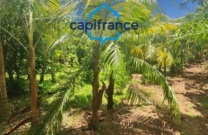 Vente Maison 118m&sup2; 7 pièces Sainte Rose