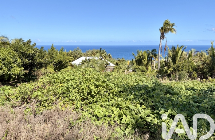 Vente Terrain 565m&sup2; Petite &icirc;le