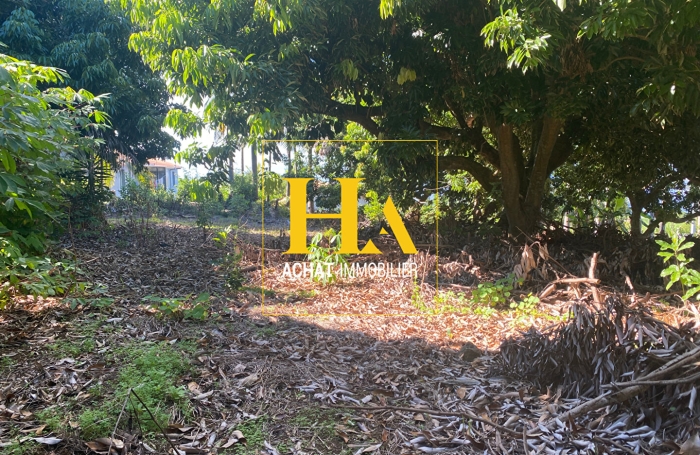 Vente Terrain 620m&sup2; Saint Joseph