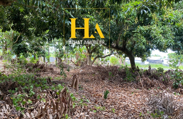 Vente Terrain 620m&sup2; Saint Joseph