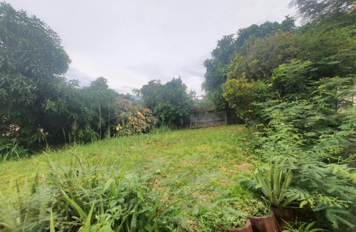 Location Maison 180m&sup2; 6 pièces Sainte Clotilde