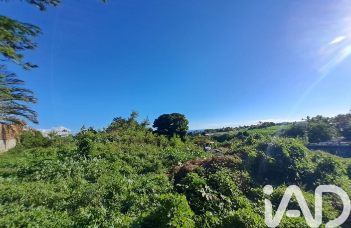 Vente Terrain 97410