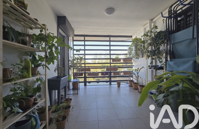 Vente Appartement 49m&sup2; 2 pièces Saint-Pierre
