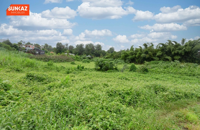 Vente Terrain 579.00m&sup2; Le Tampon