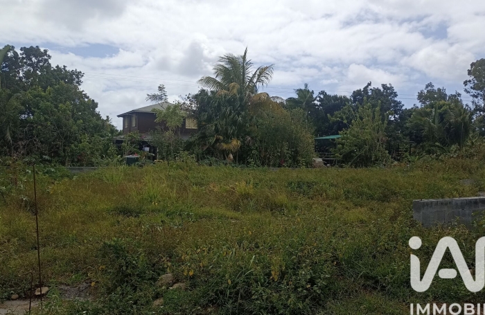 Vente Terrain 97440