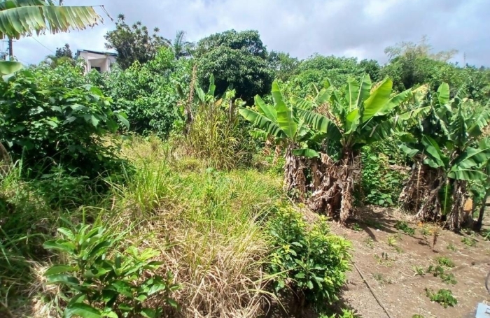Vente Terrain Piton Saint Leu