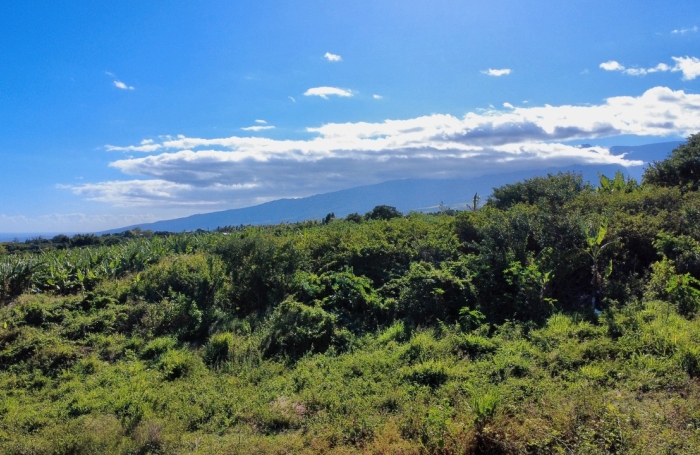Vente Terrain 97410