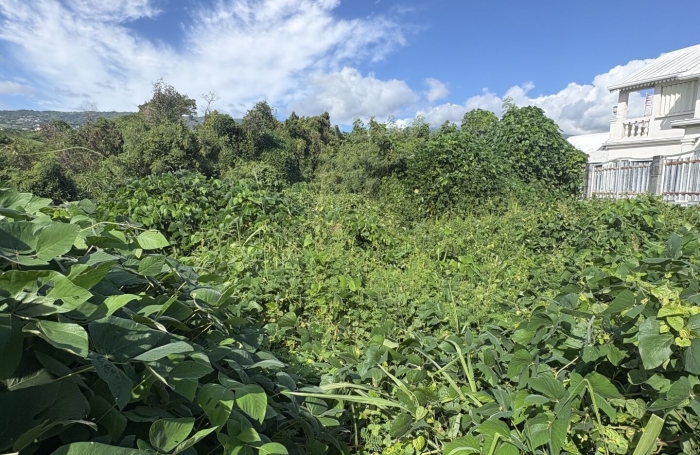 Vente Terrain 3600m&sup2; Sainte Marie