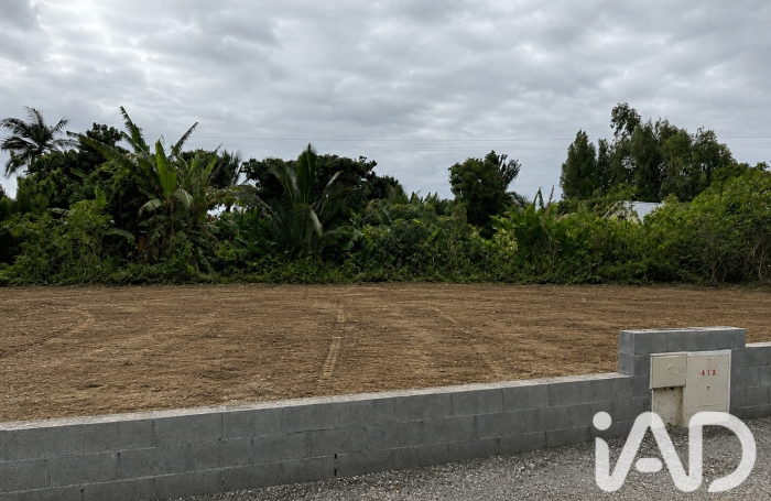 Vente Terrain 97440