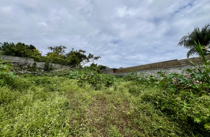 Vente Terrain 97410