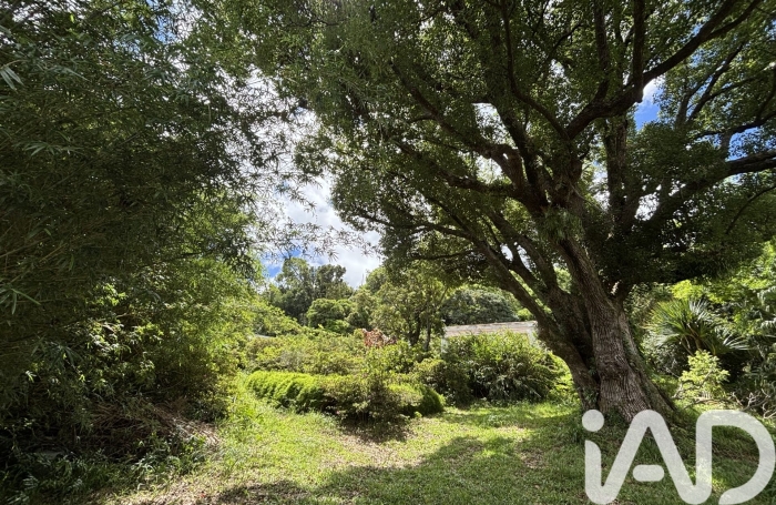 Vente Terrain 869m&sup2; Saint Denis