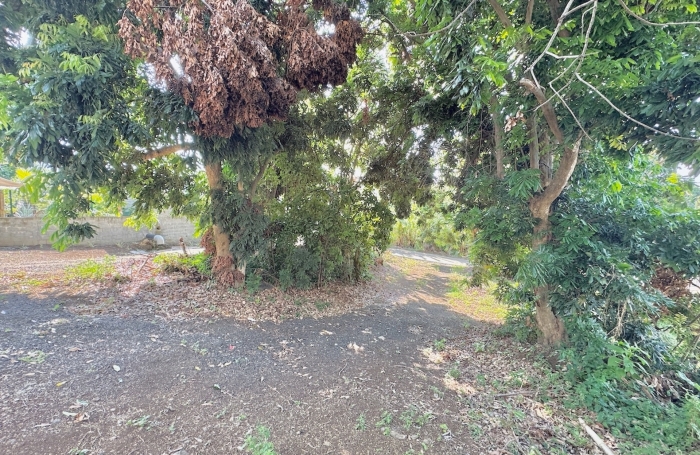 Vente Terrain 336m&sup2; Rivi&egrave;re Saint Louis