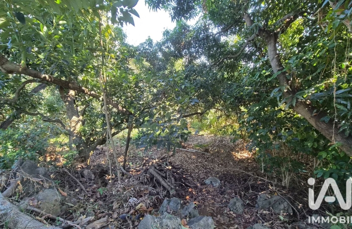 Vente Terrain 1338m&sup2; Ravine des Cabris