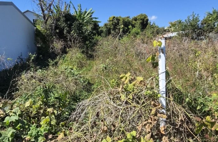 Vente Terrain 1338m&sup2; Ravine des Cabris