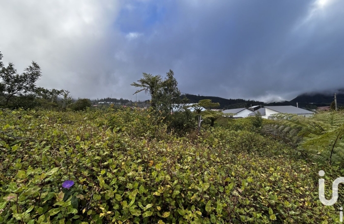 Vente Terrain 7682m&sup2; Plaine des Palmistes