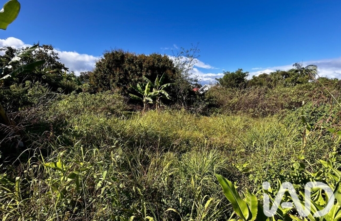 Vente Terrain 414m&sup2; Le Tampon