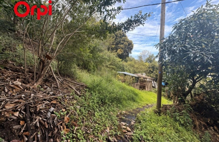 Vente Terrain 1630m&sup2; L'Entre Deux