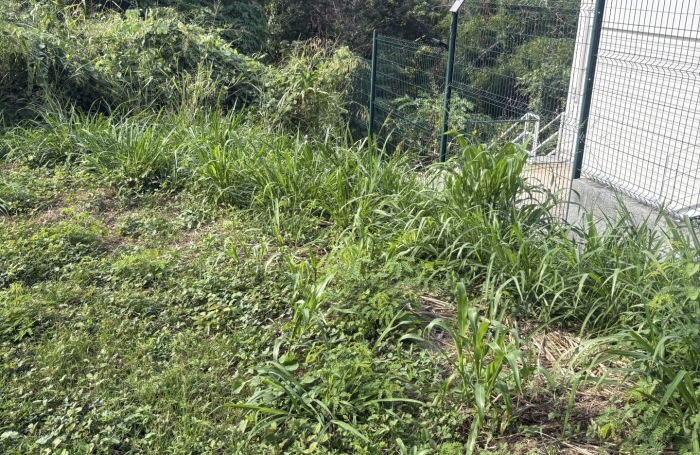Vente Terrain 1353m&sup2; Sainte Marie
