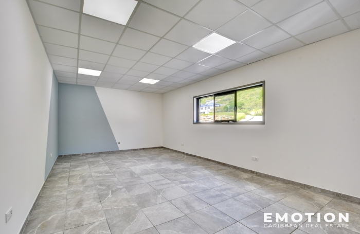 Location Local commercial 97150