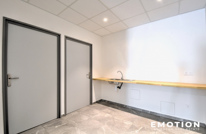 EMOTION REAL ESTATE - LOCAL PROFESSIONNEL - 43m2