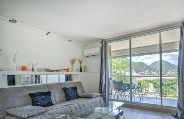 Location Appartement 97150